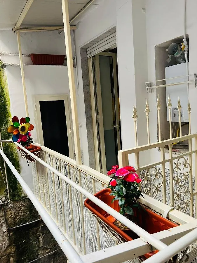Apartment Home Lovely Naples Italy